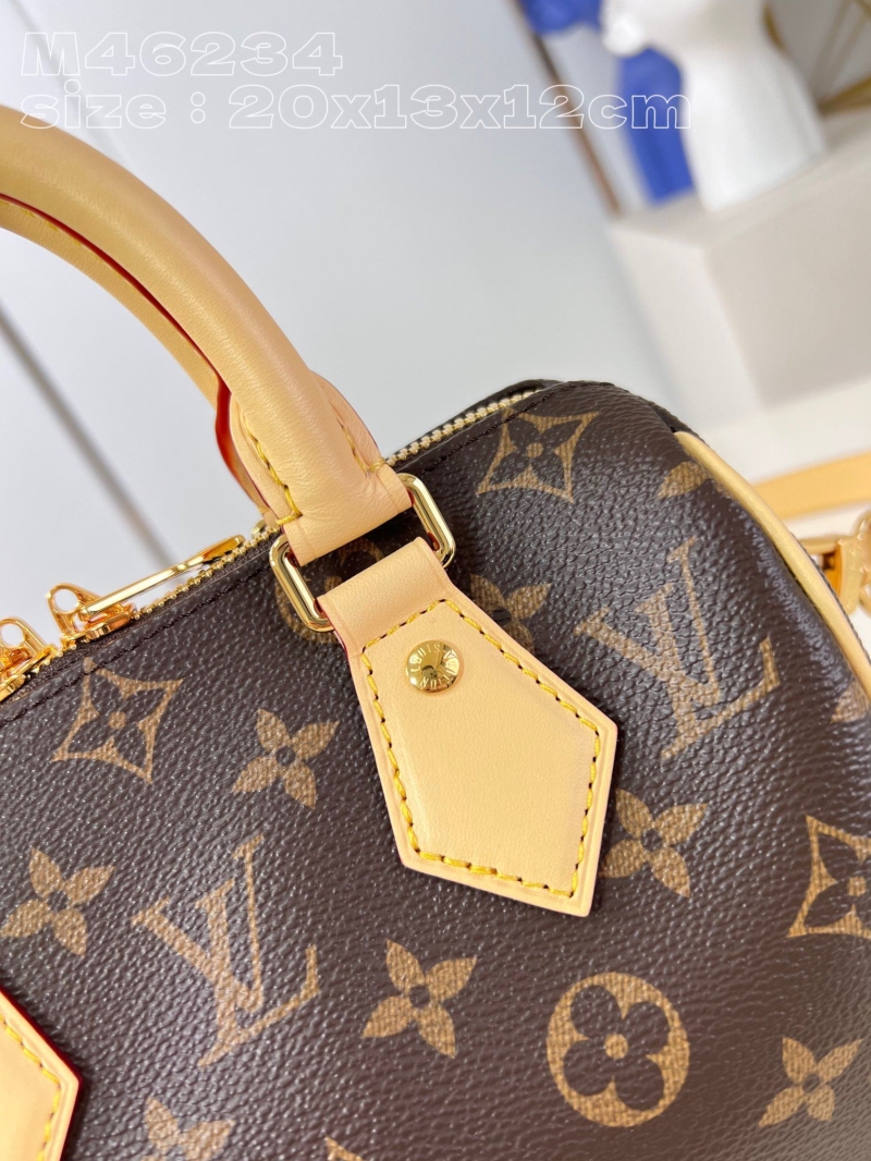 LV Speedy Bags